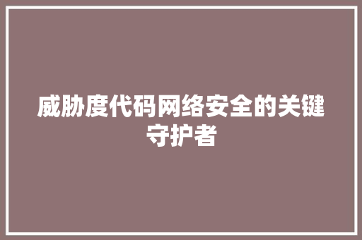 威胁度代码网络安全的关键守护者