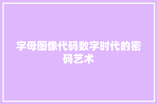 字母图像代码数字时代的密码艺术