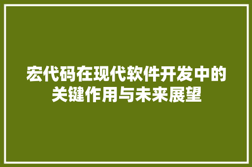 宏代码在现代软件开发中的关键作用与未来展望