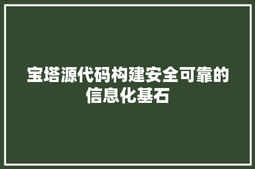 宝塔源代码构建安全可靠的信息化基石