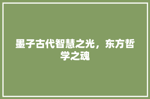 墨子古代智慧之光，东方哲学之魂