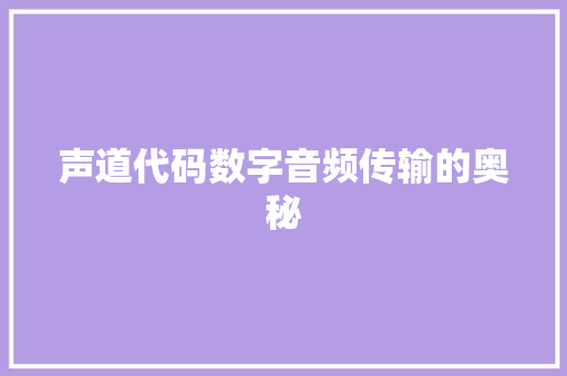 声道代码数字音频传输的奥秘