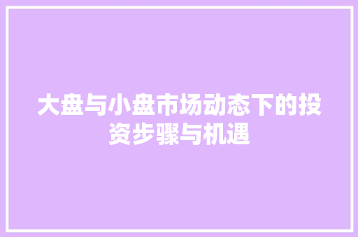 大盘与小盘市场动态下的投资步骤与机遇