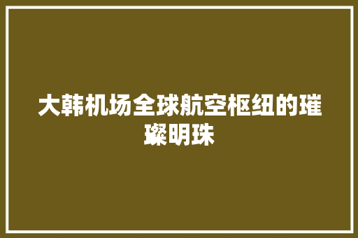 大韩机场全球航空枢纽的璀璨明珠