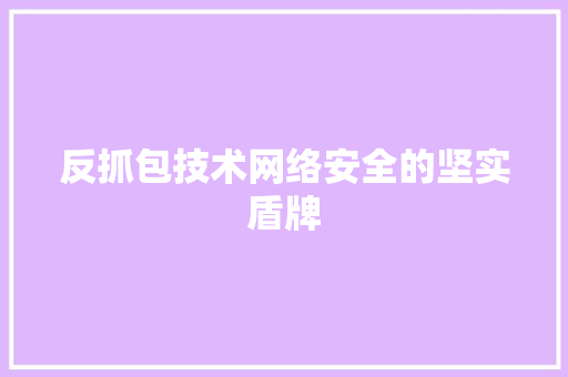 反抓包技术网络安全的坚实盾牌