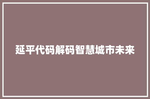 延平代码解码智慧城市未来