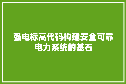 强电标高代码构建安全可靠电力系统的基石