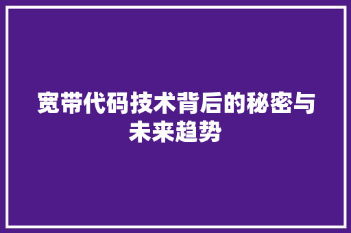 宽带代码技术背后的秘密与未来趋势