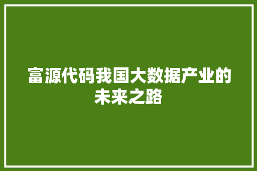 富源代码我国大数据产业的未来之路