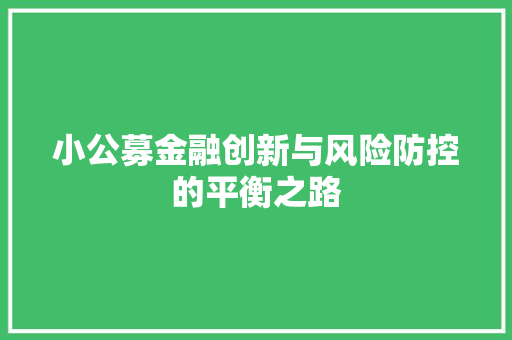 小公募金融创新与风险防控的平衡之路