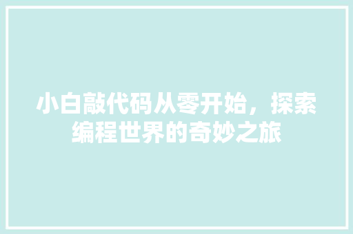 小白敲代码从零开始，探索编程世界的奇妙之旅