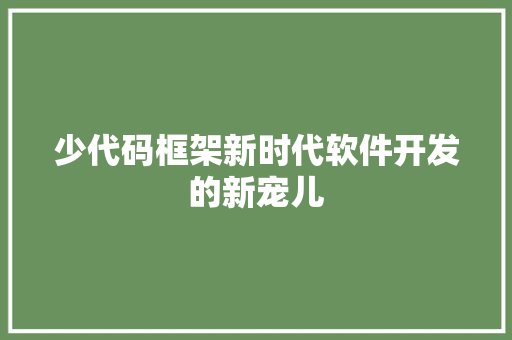 少代码框架新时代软件开发的新宠儿