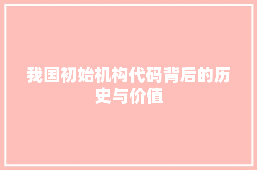 我国初始机构代码背后的历史与价值