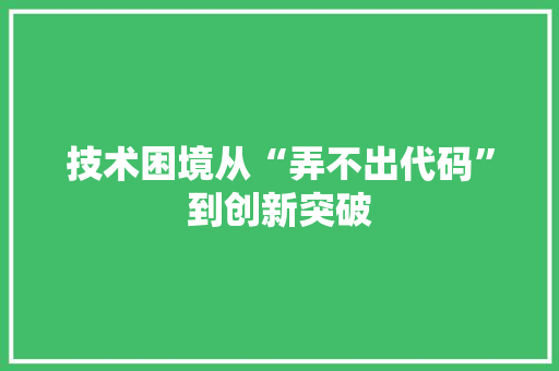 技术困境从“弄不出代码”到创新突破