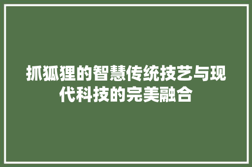 抓狐狸的智慧传统技艺与现代科技的完美融合