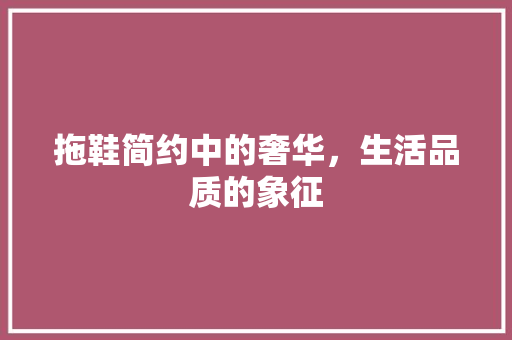 拖鞋简约中的奢华，生活品质的象征