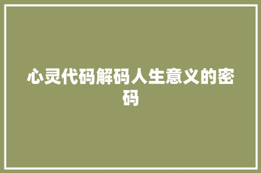 心灵代码解码人生意义的密码