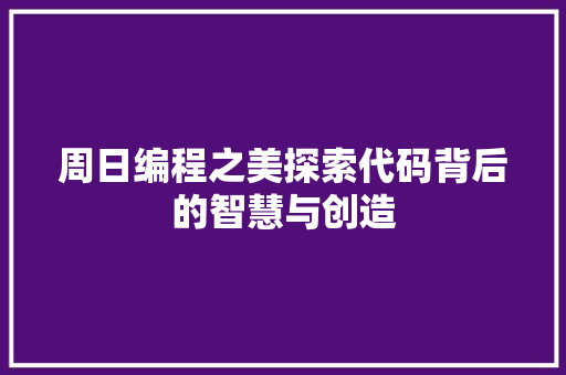 周日编程之美探索代码背后的智慧与创造