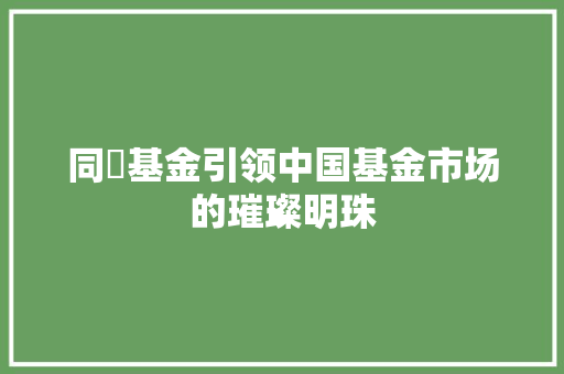 同犇基金引领中国基金市场的璀璨明珠