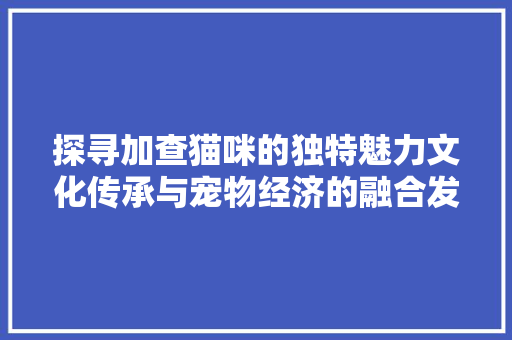 探寻加查猫咪的独特魅力文化传承与宠物经济的融合发展