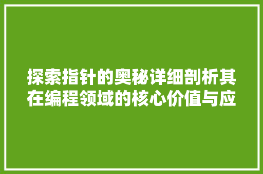 探索指针的奥秘详细剖析其在编程领域的核心价值与应用