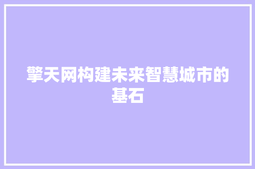 擎天网构建未来智慧城市的基石