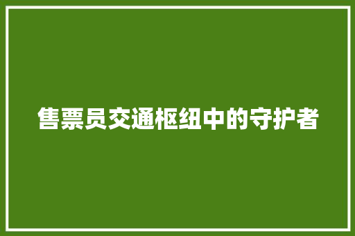 售票员交通枢纽中的守护者