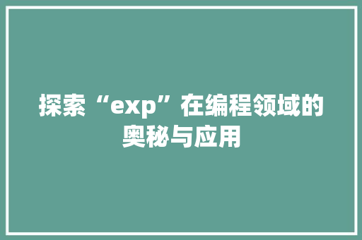 探索“exp”在编程领域的奥秘与应用