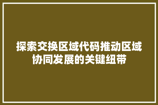 探索交换区域代码推动区域协同发展的关键纽带