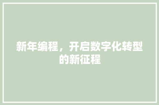 新年编程，开启数字化转型的新征程