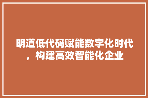 明道低代码赋能数字化时代，构建高效智能化企业