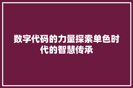 数字代码的力量探索单色时代的智慧传承