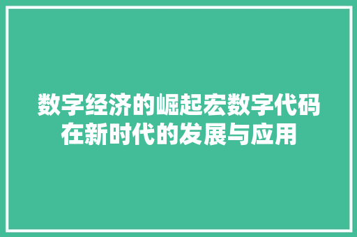 数字经济的崛起宏数字代码在新时代的发展与应用  第1张