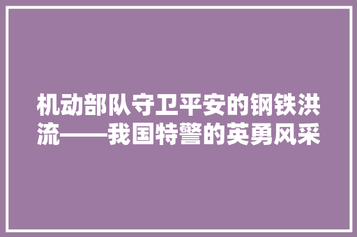 机动部队守卫平安的钢铁洪流——我国特警的英勇风采