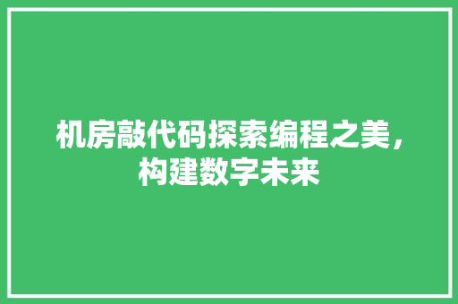 机房敲代码探索编程之美，构建数字未来