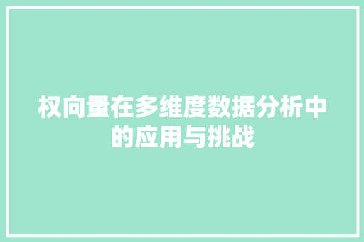 权向量在多维度数据分析中的应用与挑战