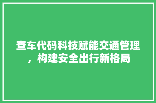 查车代码科技赋能交通管理，构建安全出行新格局