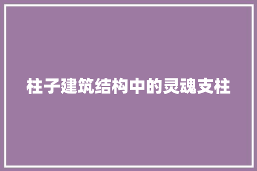 柱子建筑结构中的灵魂支柱