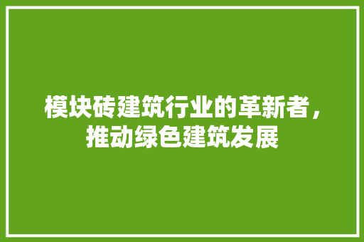 模块砖建筑行业的革新者，推动绿色建筑发展