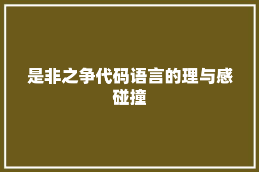 是非之争代码语言的理与感碰撞