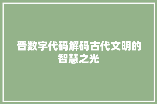 晋数字代码解码古代文明的智慧之光