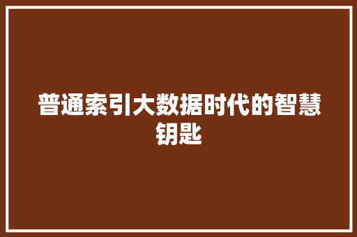 普通索引大数据时代的智慧钥匙