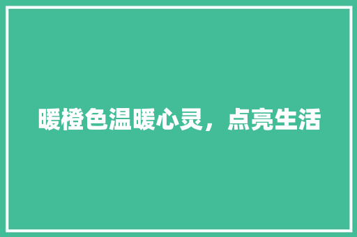 暖橙色温暖心灵，点亮生活