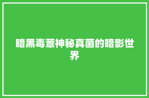 暗黑毒蕈神秘真菌的暗影世界