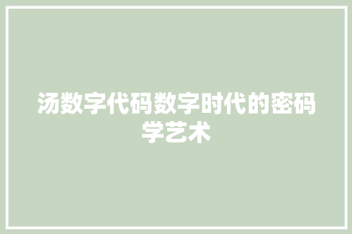 汤数字代码数字时代的密码学艺术