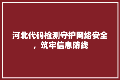 河北代码检测守护网络安全，筑牢信息防线