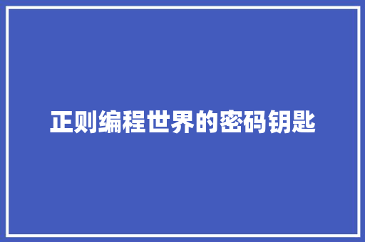 正则编程世界的密码钥匙