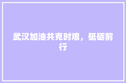 武汉加油共克时艰，砥砺前行