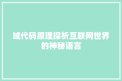 域代码原理探析互联网世界的神秘语言
