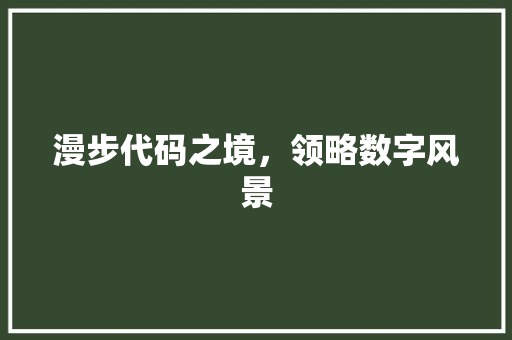 漫步代码之境，领略数字风景